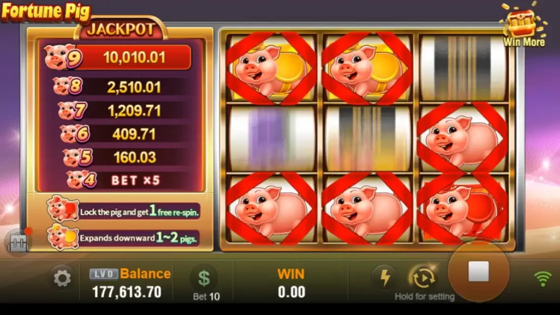 Fortune Pig Captura de tela do jogo 1