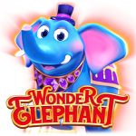 Wonder Elephant
