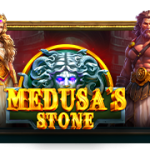 Medusa’s Stone