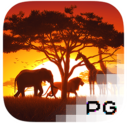 Safari Wilds